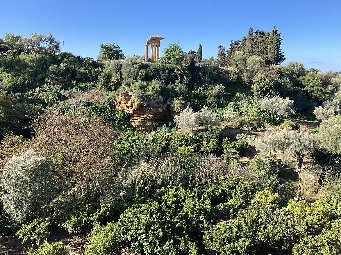 La natura si fa strada: tornano le Camminate nella biodiversit&agrave; del FAI alla Kolymbethra 