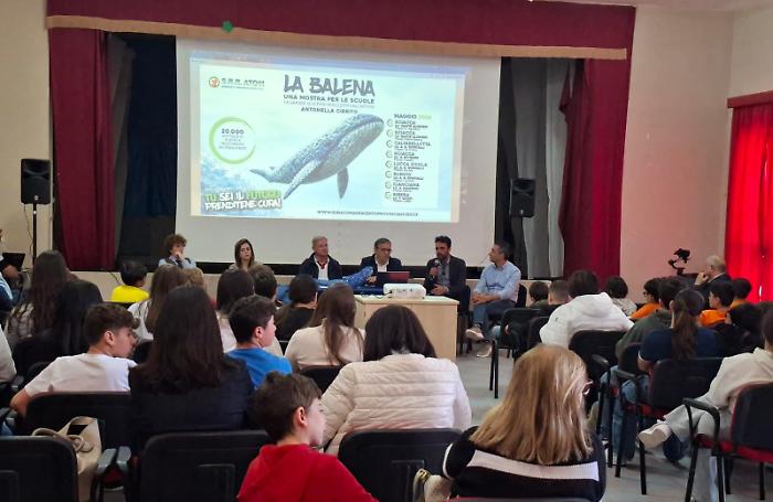 Ventimila bottiglie diventano arte: la grande Balena del riciclo conquista gli studenti di Sciacca e Caltabellotta