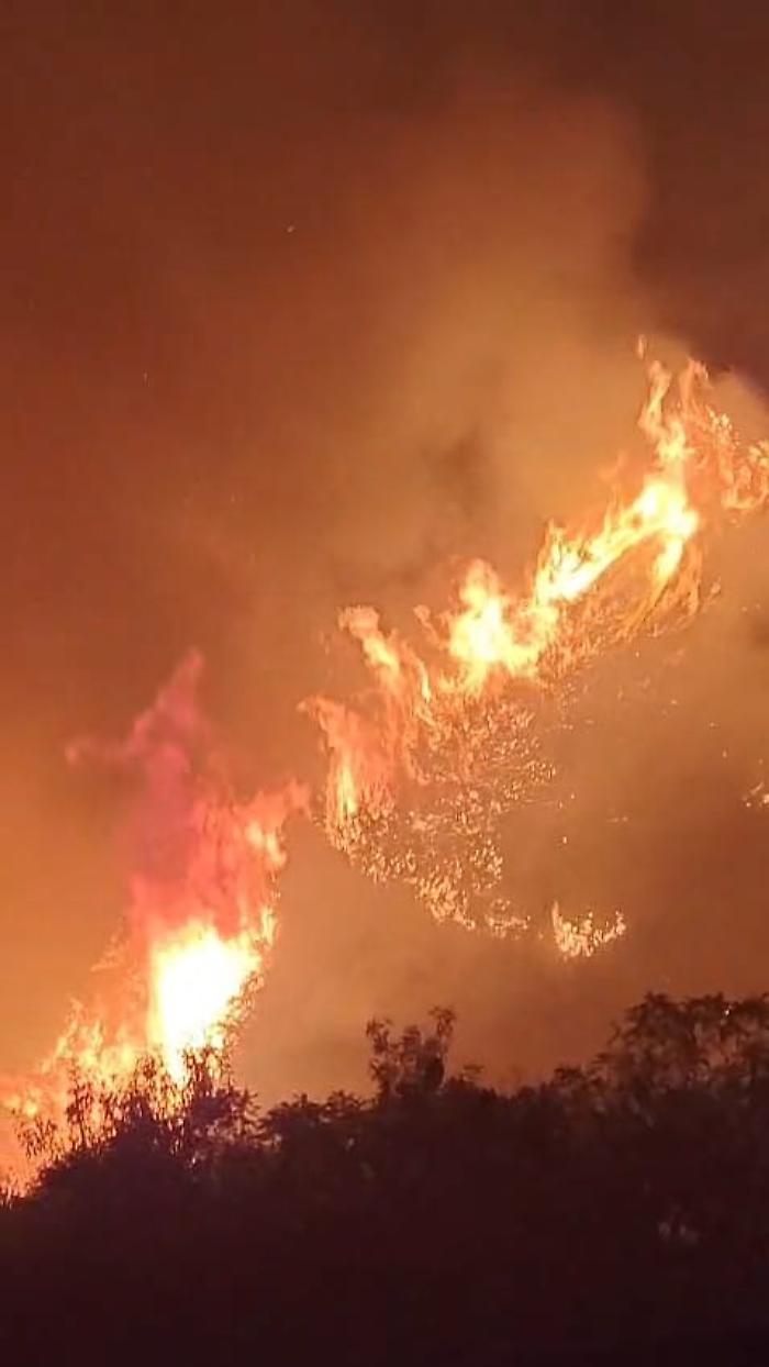 Fiamme alte cinque metri minacciano le case: i residenti fermano il maxi incendio con secchi d'acqua