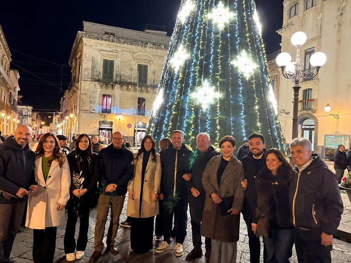 Acireale, in piazza Duomo un albero di 20 metri