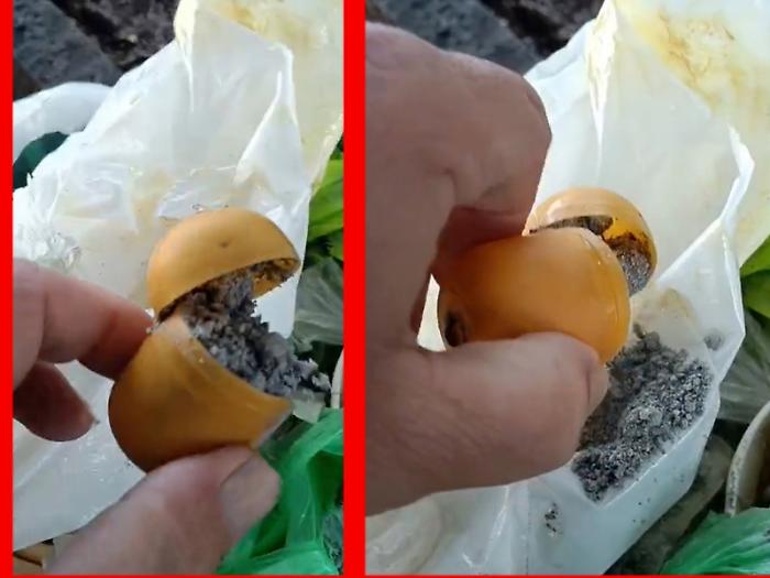 Siracusa, un piccolo ordigno nascosto dentro l&rsquo;ovetto